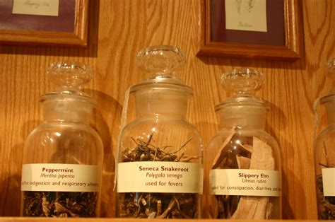Herbal Remedies | Peppermint, Seneca Snakeroot, Slippery Elm… | Flickr