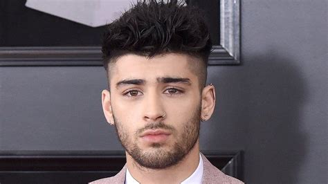 Former One Direction star Zayn Malik writes to PM over free school ...