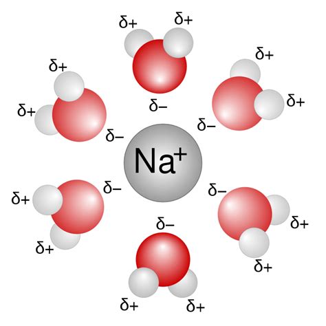 Ion-Dipole Forces | ChemTalk