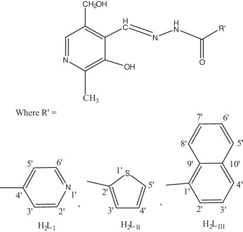 Structure of Schiff base ligands. | Download Scientific Diagram