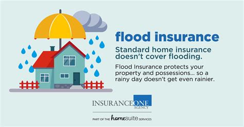 Flood Insurance — HomeSuite