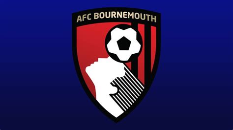 Bournemouth team and player season stats in the Premier League 2018/19 ...