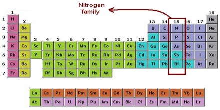 The Nitrogen Group - Assignment Point