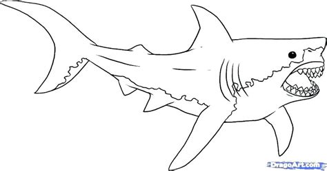 Bull Shark Coloring Page at GetDrawings | Free download