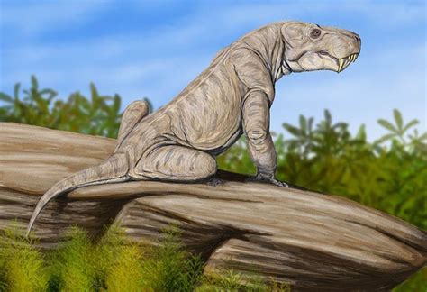 Dinogorgon (reptil gorgonópsido del Pérmico de Suráfrica, 260mA) (Sergey Krasovskiy ...