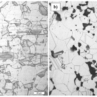 Microstructure of the entire alloyed zone of sintered austenitic ...