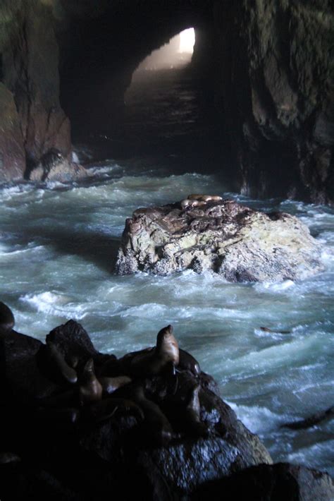 Seal Cave, Florence, Oregon | Central Oregon Coast | Nickay3111 | Flickr