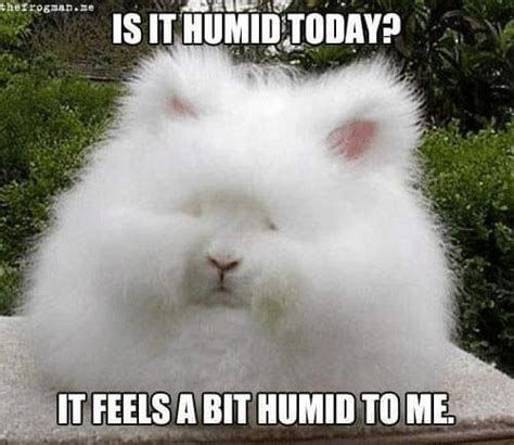 Humid or Not Humid — That Is the Question