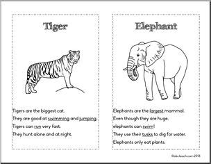 Safari Animal Booklet - Coloring Book about Animals - Animals in Africa