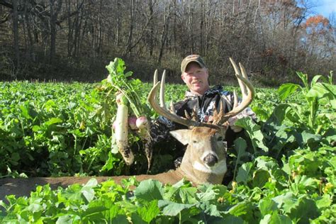 Tips for growing the best deer food plot - Very Weird News - Daily Updates on Everything