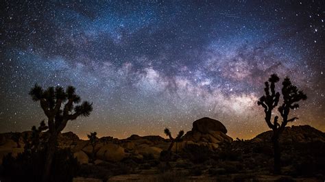 Desert landscape at night with Milky Way, Joshua tree national park, California, USA | Windows ...