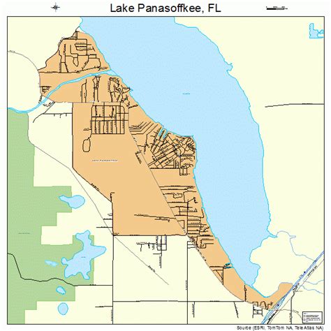 Lake Panasoffkee Florida Street Map 1238575