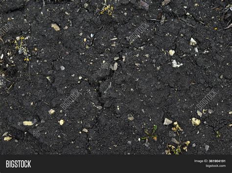 Surface Black Soil Image & Photo (Free Trial) | Bigstock