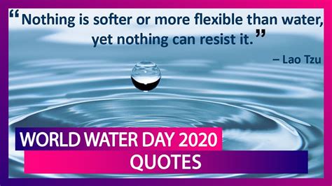 World Water Day 2020 Quotes & Slogans To Honour The Flow Of Life - YouTube