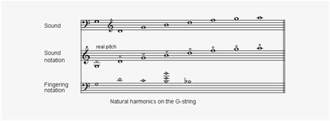 Db Notation Harmonics Natural En - Double Bass Lowest Note PNG Image | Transparent PNG Free ...