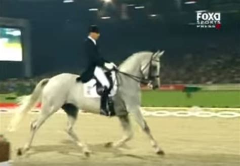 Show Horse Wows the Crowd with Hilarious Dance Moves