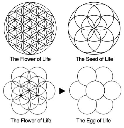 The Flower of Life Symbol - The Awakened State | The Universe is Inside ...