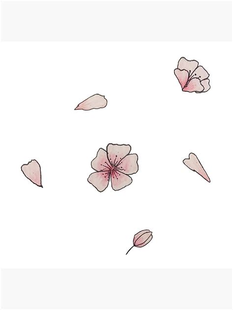 "Cherry Blossom Flower Drawing" Poster by kyliepiach | Redbubble