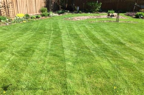 Lawn Mowing Patterns: How To Cut Grass Like A Pro