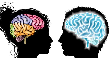 Male Vs Female Brain Structure