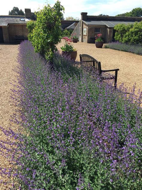 The Holkham Estate in Norfolk: UK days out - Shoestring Cottage