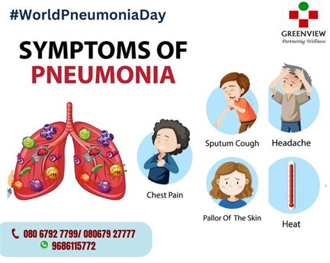 Pneumonia Symptoms | Pneumonia symptoms, Pneumonia, Chest pain