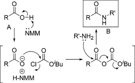 Mechanism of mixed anhydride coupling reaction. | Download Scientific ...