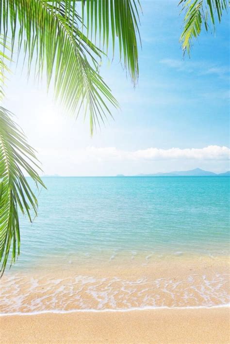 Clear beach wallpaper | Beach wallpaper, Tropical beaches, Beach