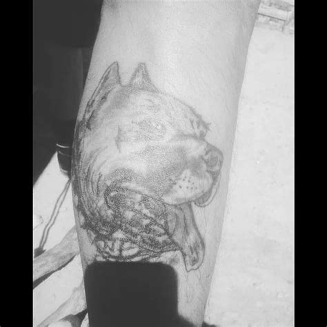 Tattoo uploaded by Diego • Tattoodo