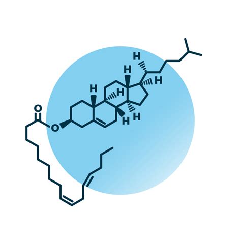 Cholesteryl Esters Analysis - Lipid Analysis - Lipotype GmbH