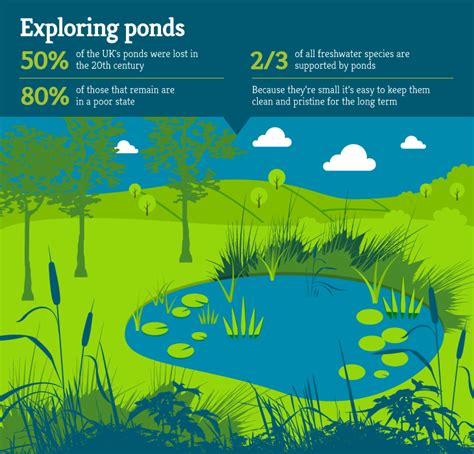 Ponds - Freshwater Habitats TrustFreshwater Habitats Trust