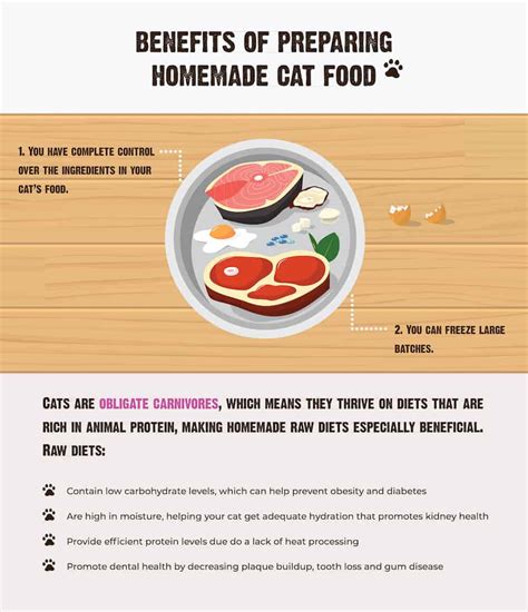 Homemade Cat Food: Benefits, Tips & How to Get Started | RAWZ