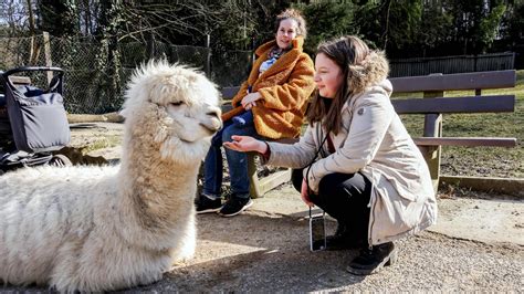 Tierpark: Die Saison in Brettens beliebtem Freizeitparadies ist eröffnet