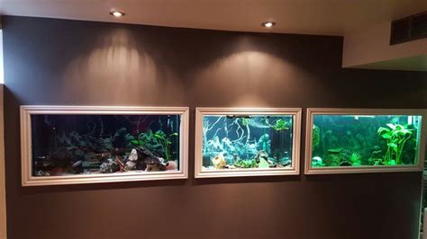 In wall fish tanks. Husband built a wall in the basement wide enough in ...