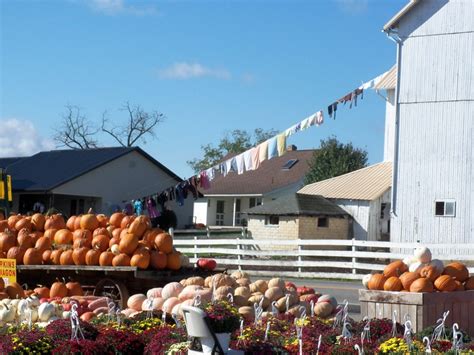 Amish Country,Millersburg Ohio | AMISH, HUTTERITES & MENNONITES & the ...