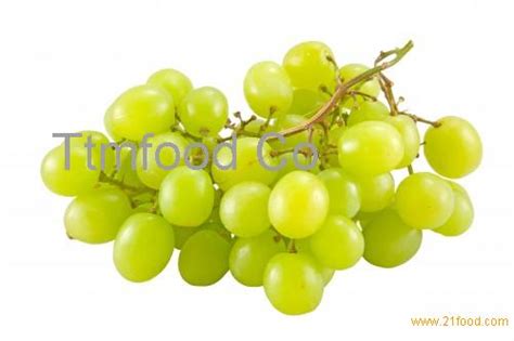 white grape juice concentrate,Iran price supplier - 21food