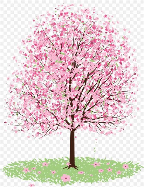 Cherry Blossom Tree Clip Art, PNG, 990x1289px, Cherry Blossom, Blossom ...