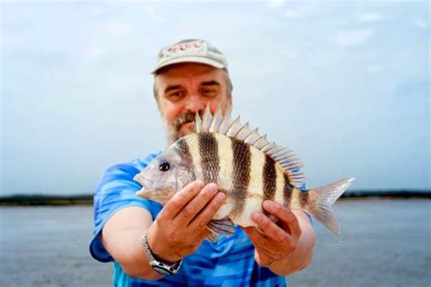 Sheepshead Fishing: All You Need to Know (Updated 2023)