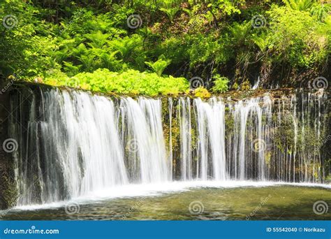 Shiraito Waterfall stock photo. Image of asian, beautiful - 55542040