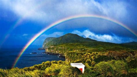 Gough Island: Worker sought for one of world's remotest places - BBC News