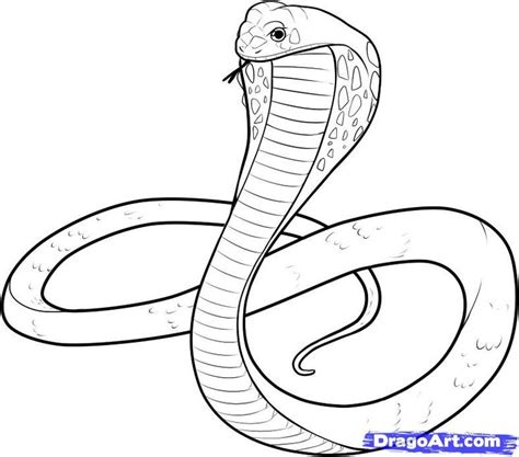 Simple Snake Drawing at GetDrawings | Free download