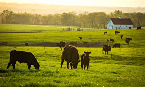 When It’s Time to Hand the Farm to the Next Generation, the Simple Life Is Anything But - Yes ...