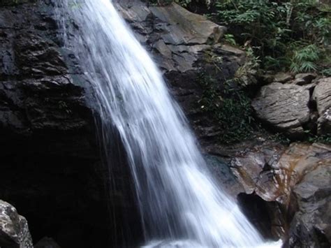 Panchmarhi’s waterfalls in Madhya Pradesh | Times of India Travel