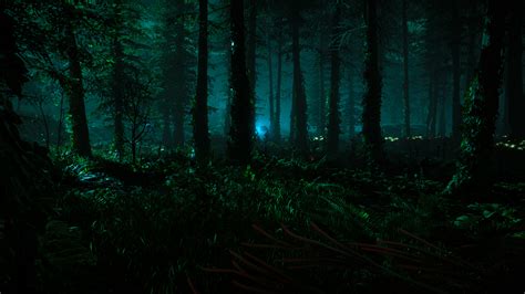 Pretty forest at night : r/horizon