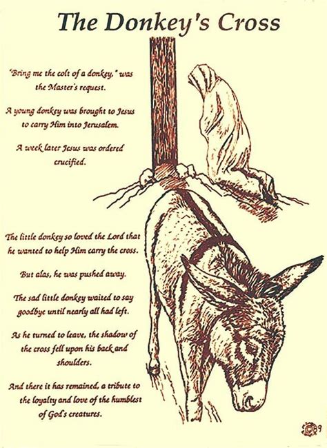 Sooooo beautiful and true, every donkey have a cross, starting on its ...