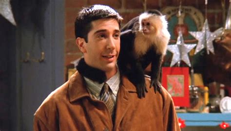 5 Monkey Actors We All Know But Can't Name