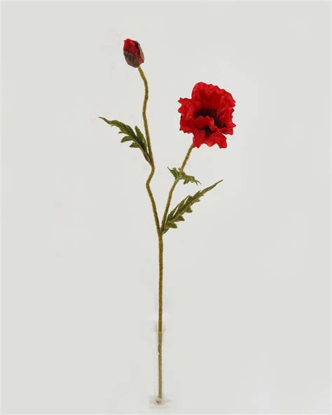 Artificial Flower 18*18*71cm Poppy *2 single stem GS-46322016DP-R1 ...