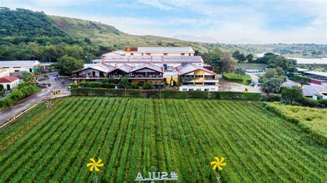 Sula Vineyards is now certified as a ‘Great Place to Work’ - Hotelier India