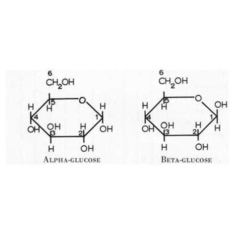 Alpha and beta glucose structure comparison - Image in A Level and IB Biology