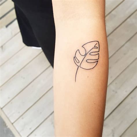 Monstera i en enda linje! ...#tatuering #vegantattoo #vegan #tattoo #stockholm # ...